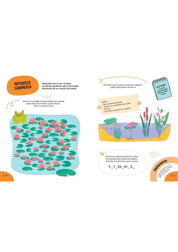 1743762762608-abrementeemacao89anoslivroeducativodeatividades2598542cc2e076a7f2eff6f778e1aa67e2893b3--1-jpg_1743762762876