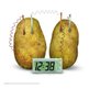 1749126068815-brinquedo-experiencia-de-ciencias-relogio-energia-da-batata-762b0bbd-53xk6u96fajpg_1749126068957