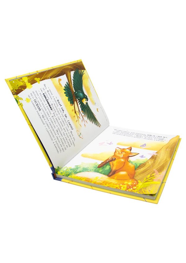 9788595035072 vi 4 1