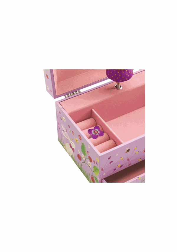 cx musica princesa passaro2